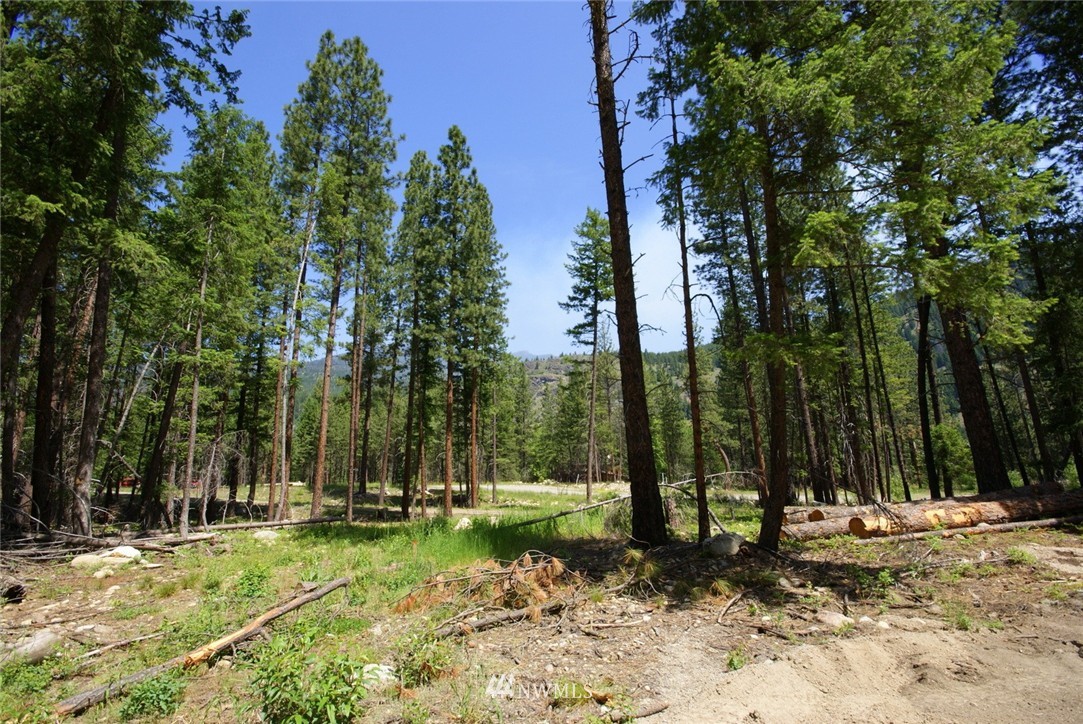 9 Nordic Village Road Mazama, WA 98833 - Photo 11 of 13 Gallery Image 11