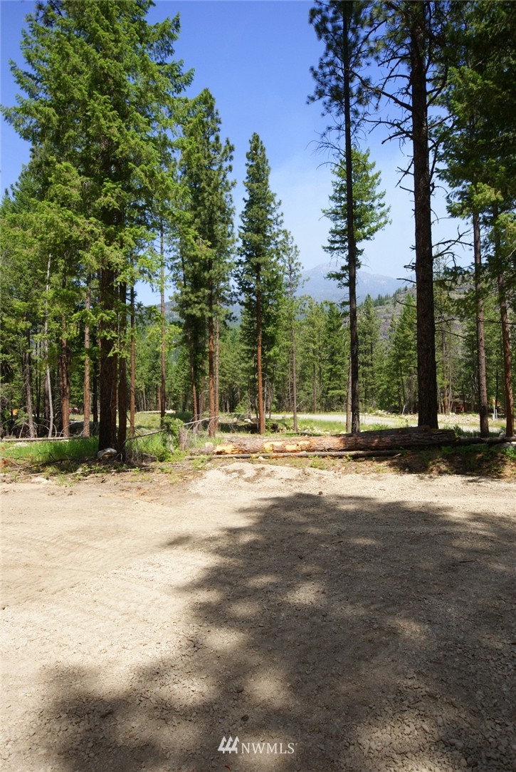 9 Nordic Village Road Mazama, WA 98833 - Photo 12 of 13 Gallery Image 12