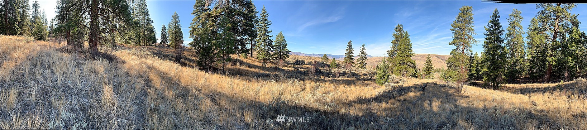 42 Tyee View Loop Road, Unit LT42 Waterville, WA 98858 - Photo 3 of 23 Gallery Image 3