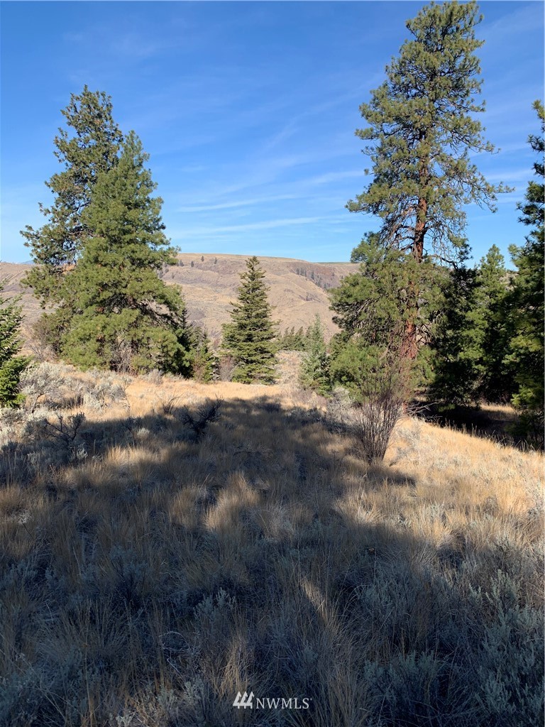 42 Tyee View Loop Road, Unit LT42 Waterville, WA 98858 - Photo 8 of 23 Gallery Image 8