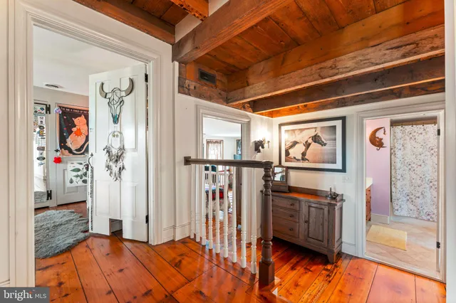 a view of a garden with lawn chairs and a large tree