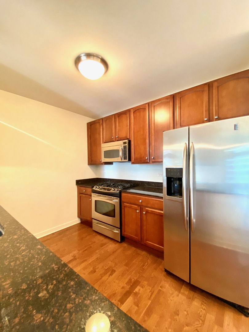 1160 South Michigan Avenue, Unit 1606 Chicago, IL 60605 - Photo 3 of 13