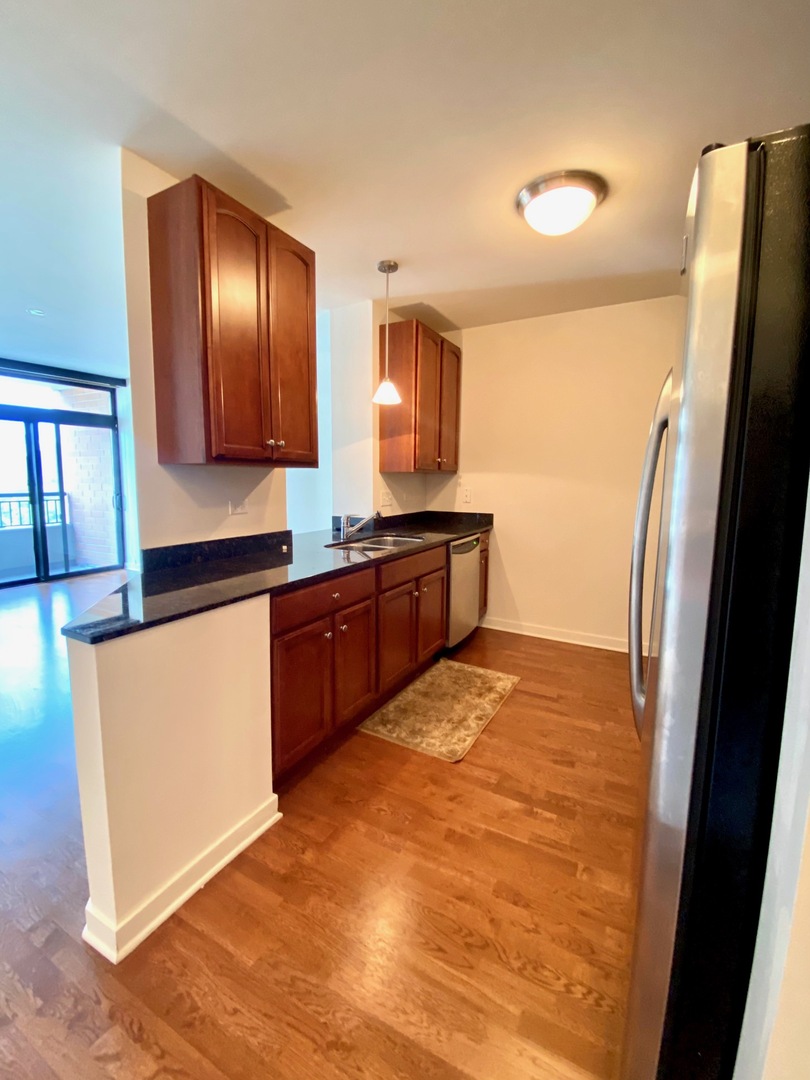 1160 South Michigan Avenue, Unit 1606 Chicago, IL 60605 - Photo 4 of 13