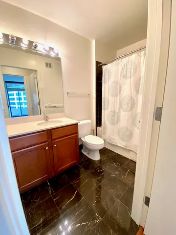 $2,450 | 1160 South Michigan Avenue, Unit 1606, Chicago, IL 60605