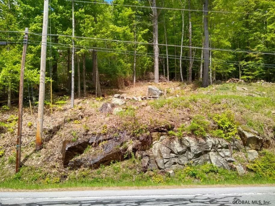 North Shore Road Hadley, NY 12835 - Photo 4 of 5 Photo 4