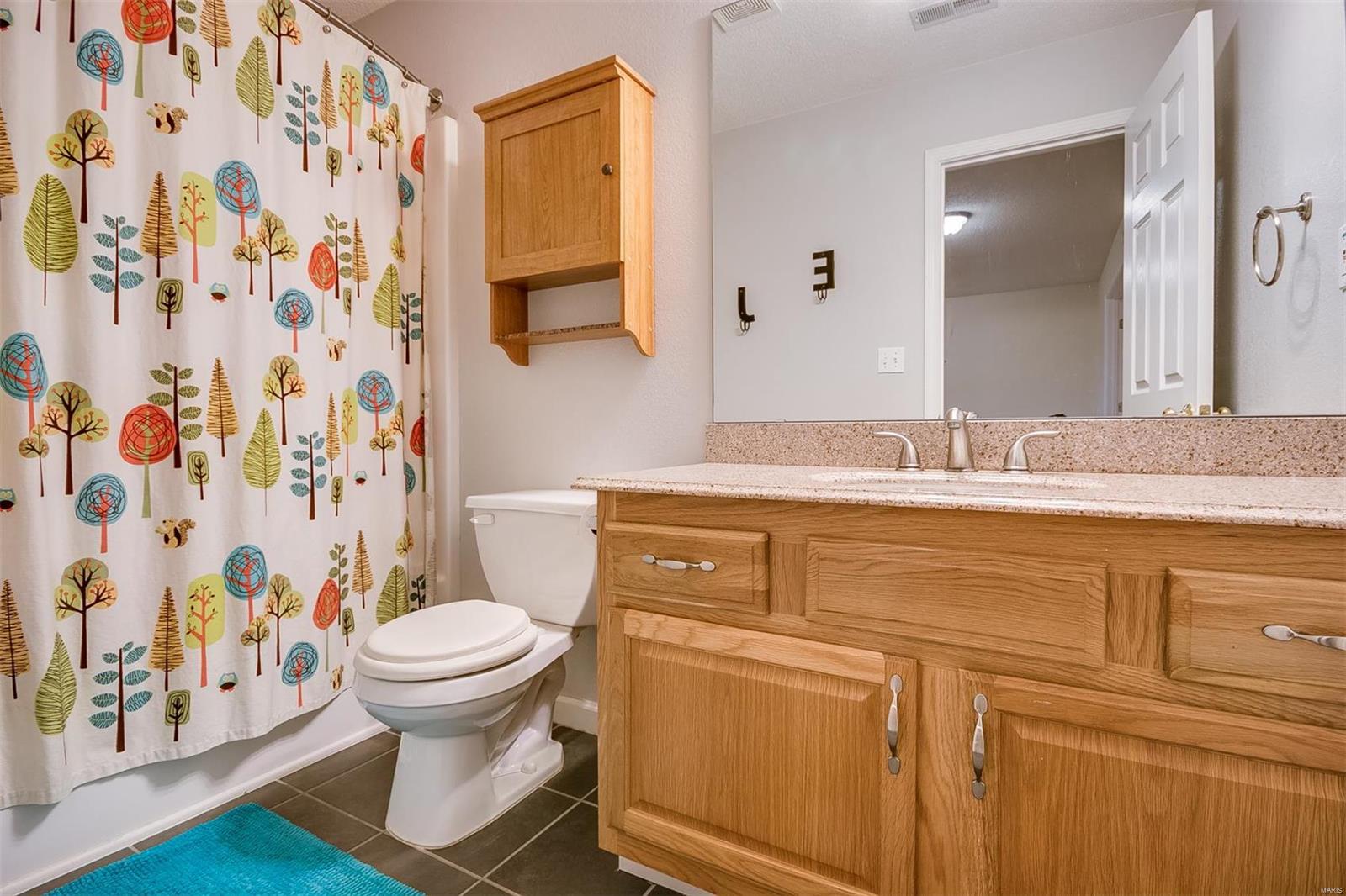 213 Ditch's Run Waterloo, IL 62298 - Photo 29 of 45 Gallery Image 29