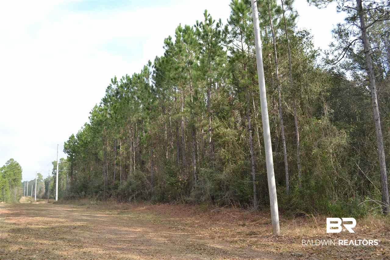 0 Mohr Lane Elberta, AL 36530 - Photo 4 of 15