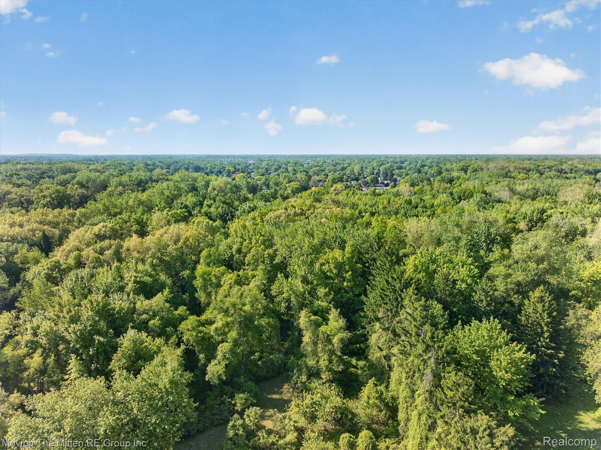 25505 Wick Road Taylor, MI 48180 - Photo 62 of 68 Drone / aerial view of a forest