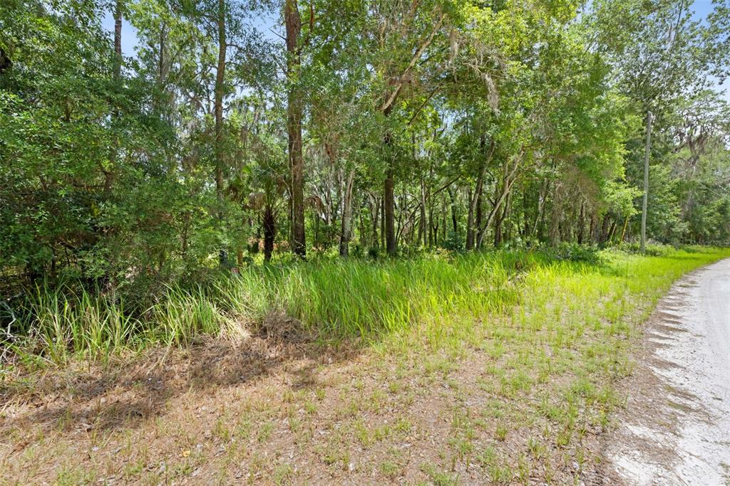 0 Ricebird Avenue, Unit LOT 89 Weeki Wachee, FL 34614 - Photo 21 of 27