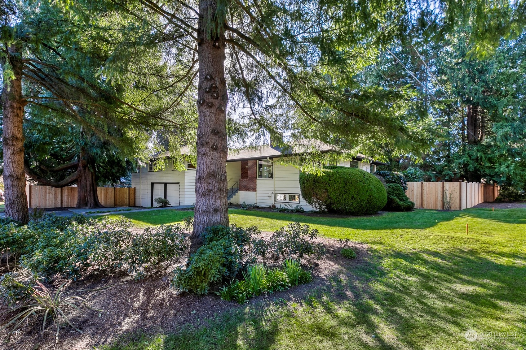 3203 Northeast 88th Street Seattle, WA 98115 - Photo 26 of 28 a small garden covered with tall trees