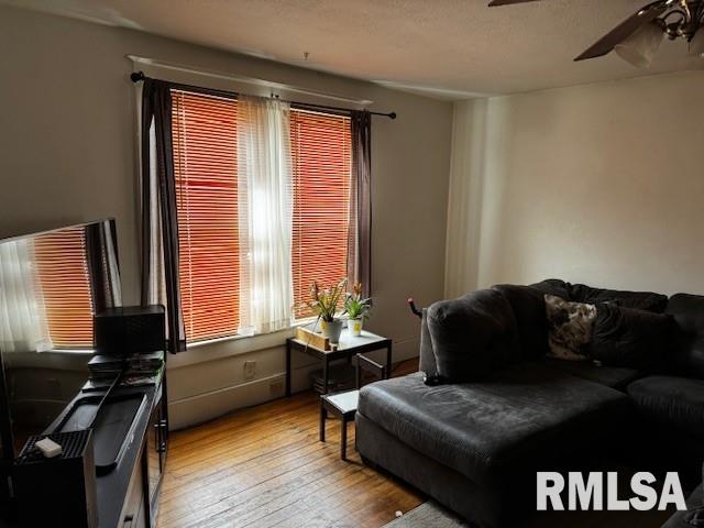 430 West Elliott Avenue Springfield, IL 62702 - Photo 5 of 22 Gallery Image 5