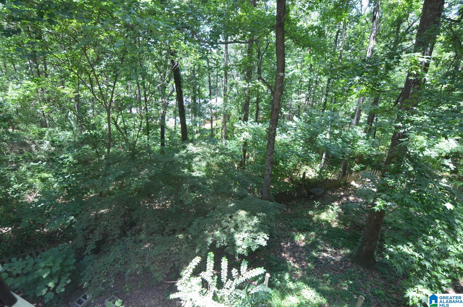 3976 South Shades Crest Road Birmingham, AL 35244 - Photo 36 of 56