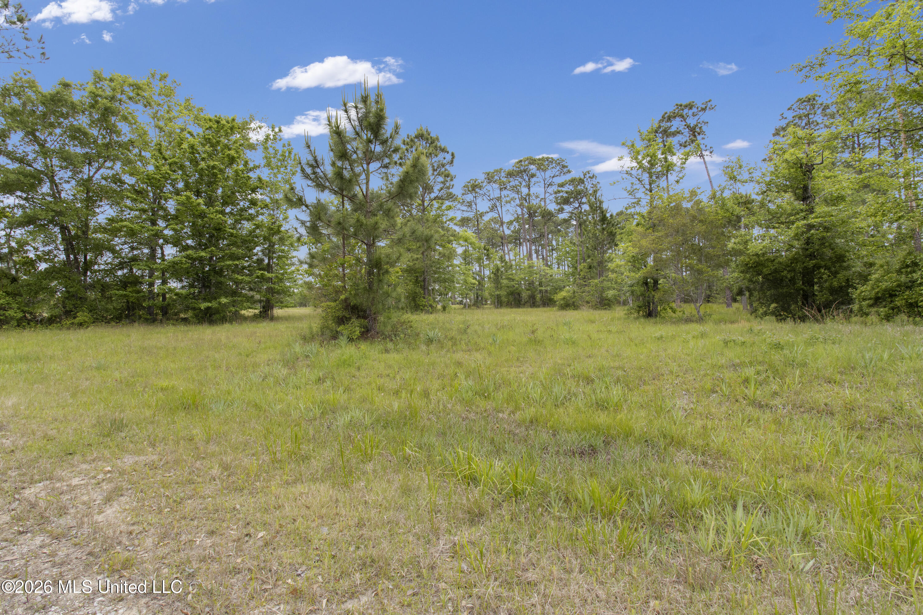 0 Hummingbird Lane Biloxi, MS 39532 - Photo 4 of 17 003