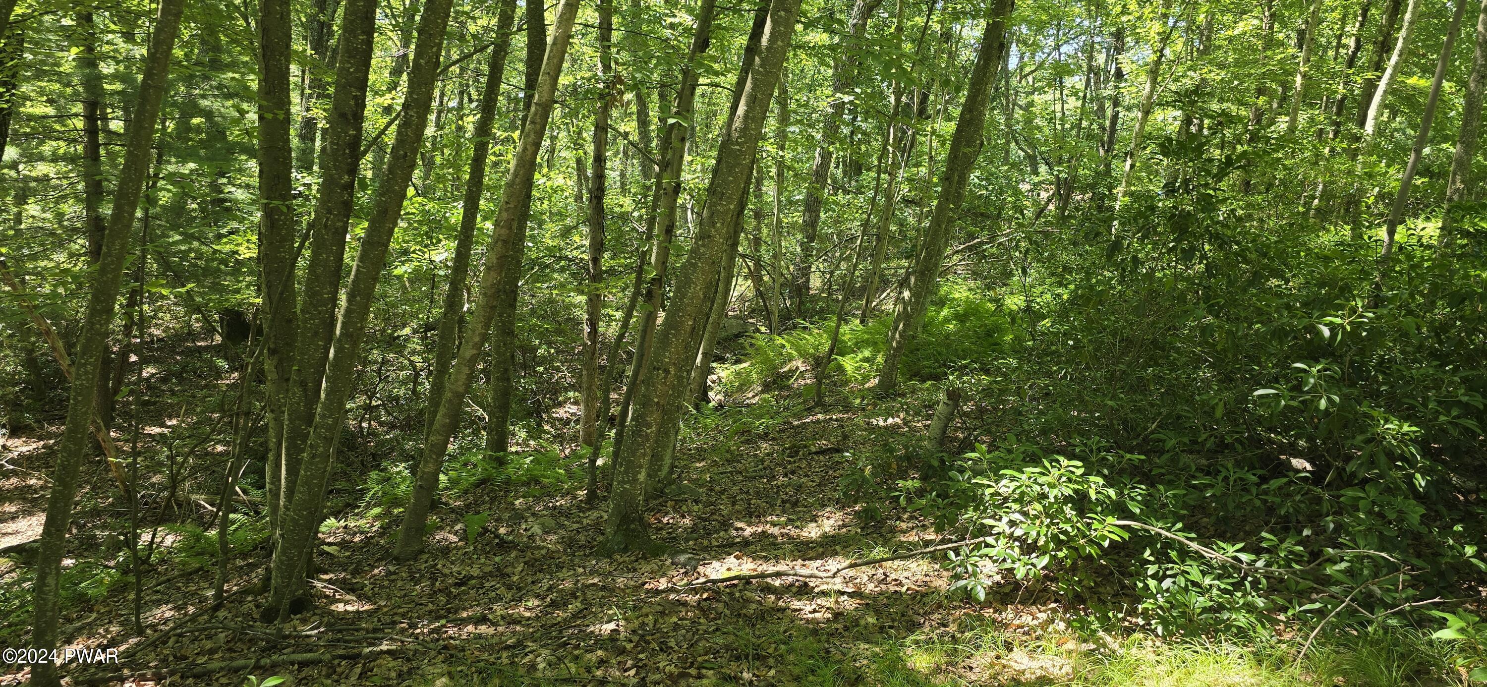 Cayuga Trail Milford, PA 18337 - Photo 3 of 20