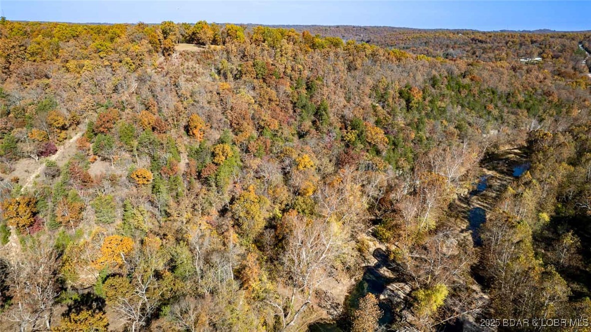 Tbd Tbd Goldie Bend Road Camdenton, MO 65020 - Photo 11 of 12