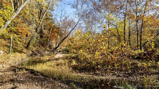 $335,000 | Tbd Tbd Goldie Bend Road, Camdenton, MO 65020
