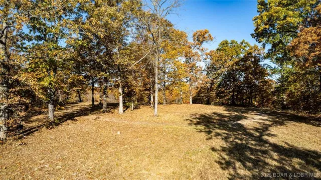 $335,000 | Tbd Tbd Goldie Bend Road, Camdenton, MO 65020