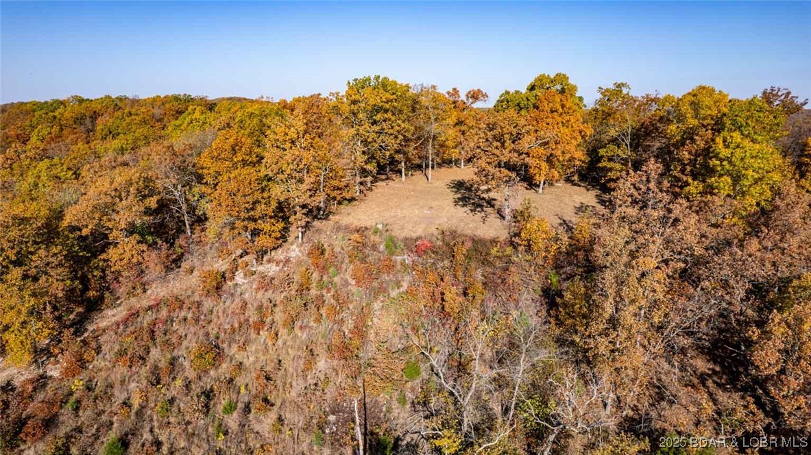 Tbd Tbd Goldie Bend Road Camdenton, MO 65020 - Photo 4 of 11