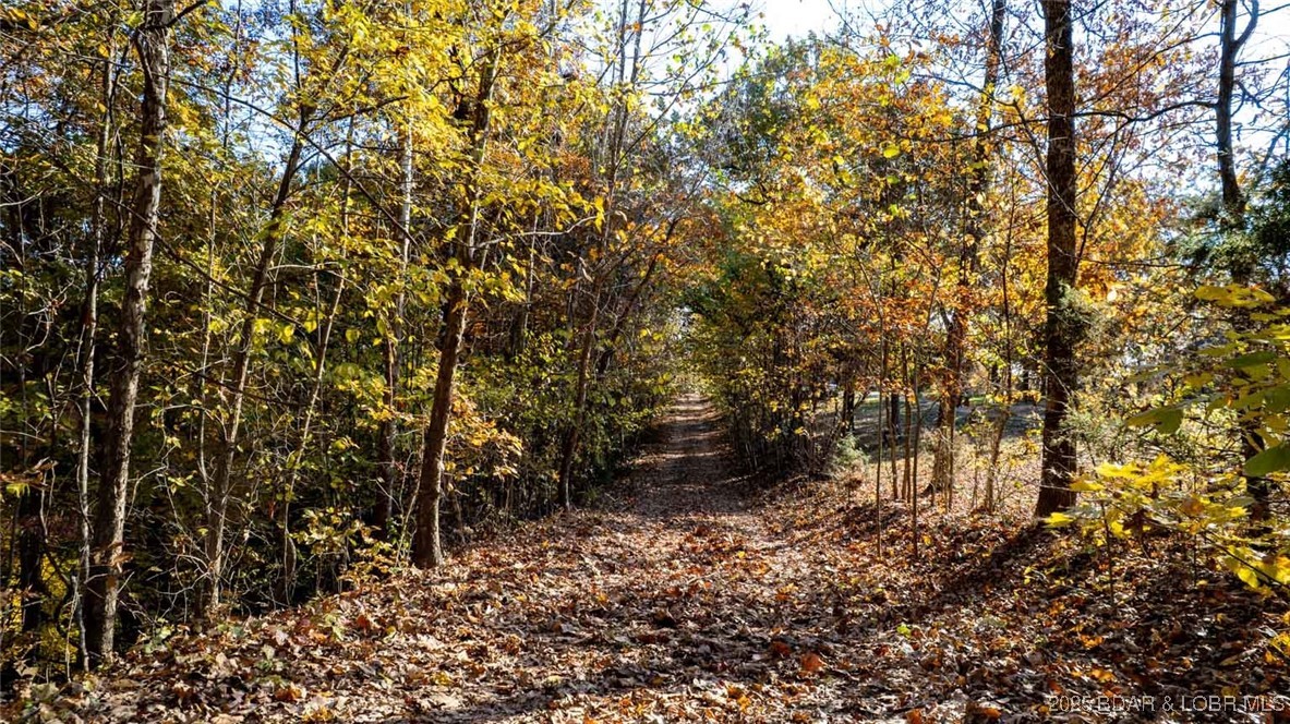 Tbd Tbd Goldie Bend Road Camdenton, MO 65020 - Photo 4 of 12