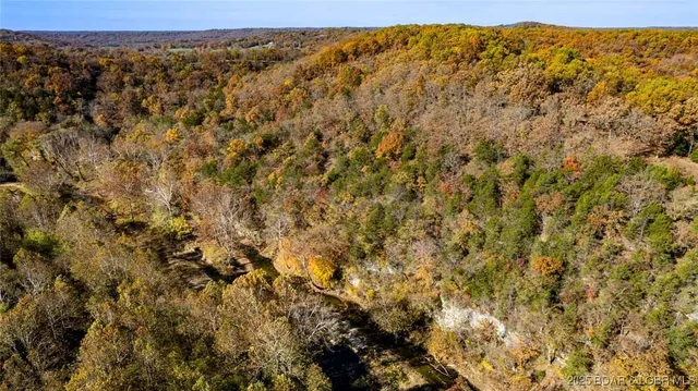 $335,000 | Tbd Tbd Goldie Bend Road, Camdenton, MO 65020