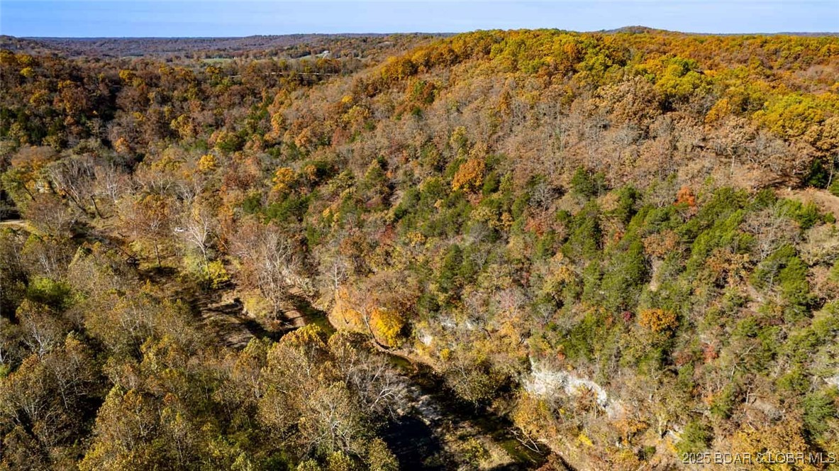 Tbd Tbd Goldie Bend Road Camdenton, MO 65020 - Photo 9 of 11