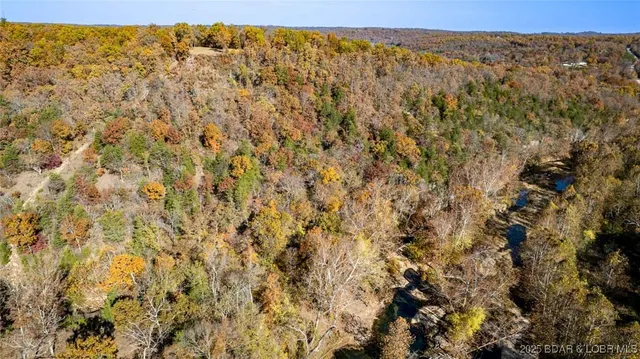 $335,000 | Tbd Tbd Goldie Bend Road, Camdenton, MO 65020