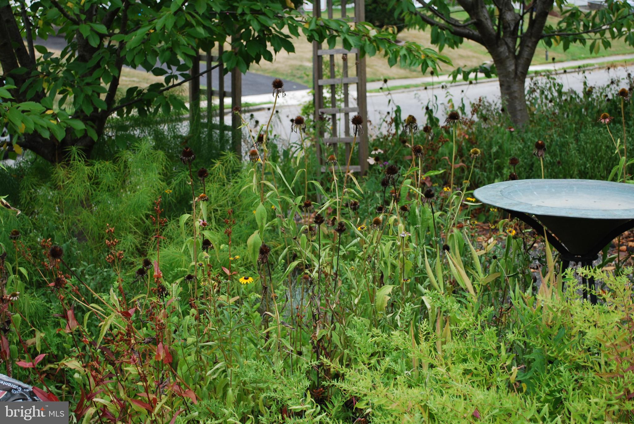 552 Holmes Road Morton, PA 19070 - Photo 4 of 19 Gallery Image 4