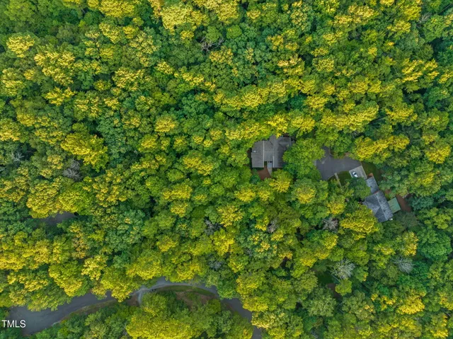 a backyard of a house with lots of plants