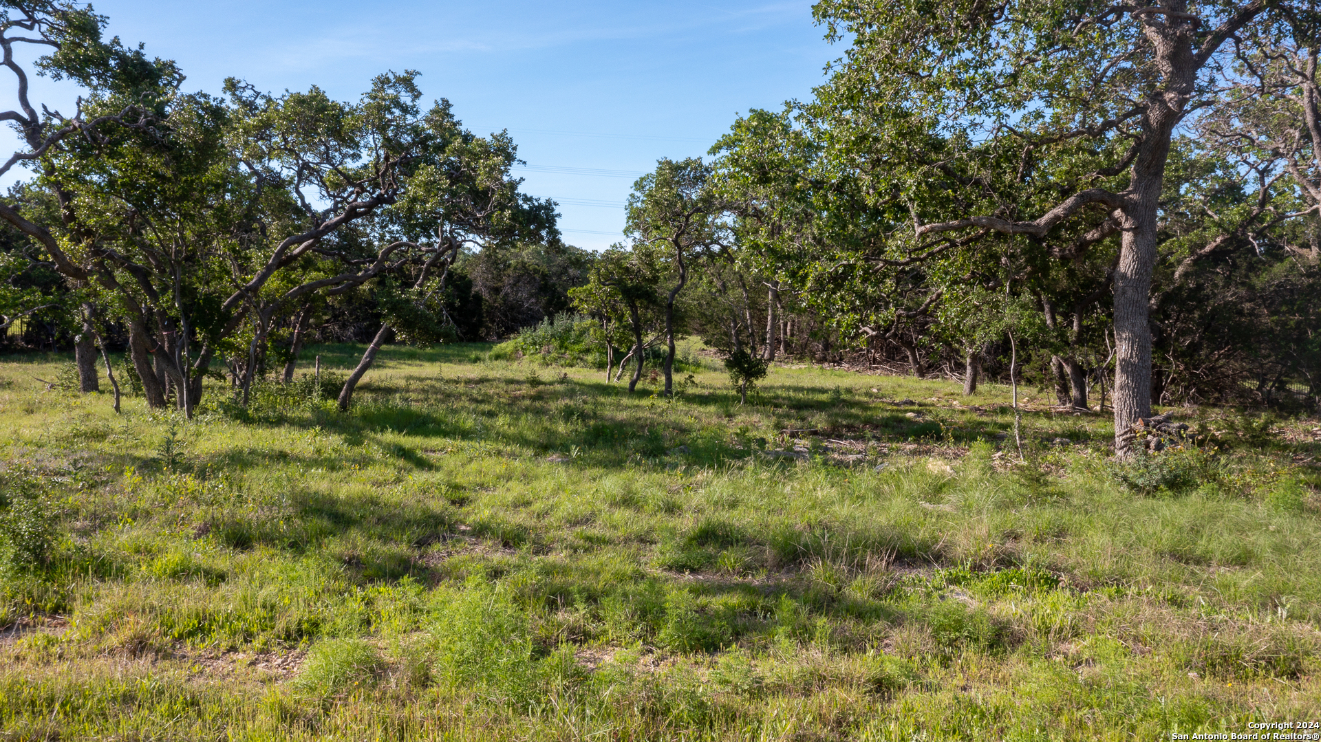 739 Maximino Ridge Road Bulverde, TX 78163 - Photo 17 of 36 a view of outdoor space with trees all around