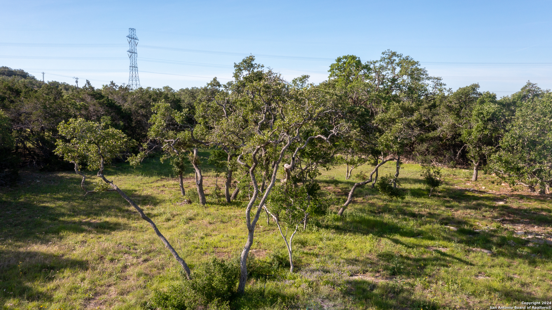 739 Maximino Ridge Road Bulverde, TX 78163 - Photo 2 of 36 a backyard of a house with lots of green space