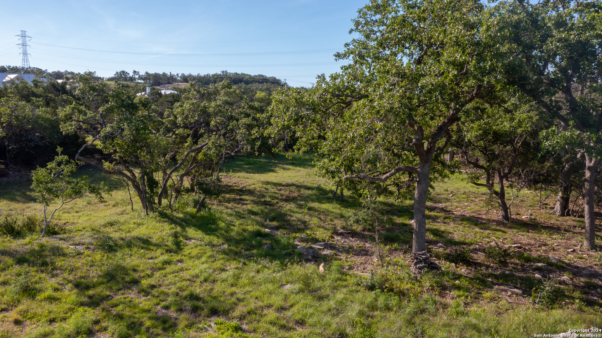 739 Maximino Ridge Road Bulverde, TX 78163 - Photo 3 of 36 a view of a yard with a tree