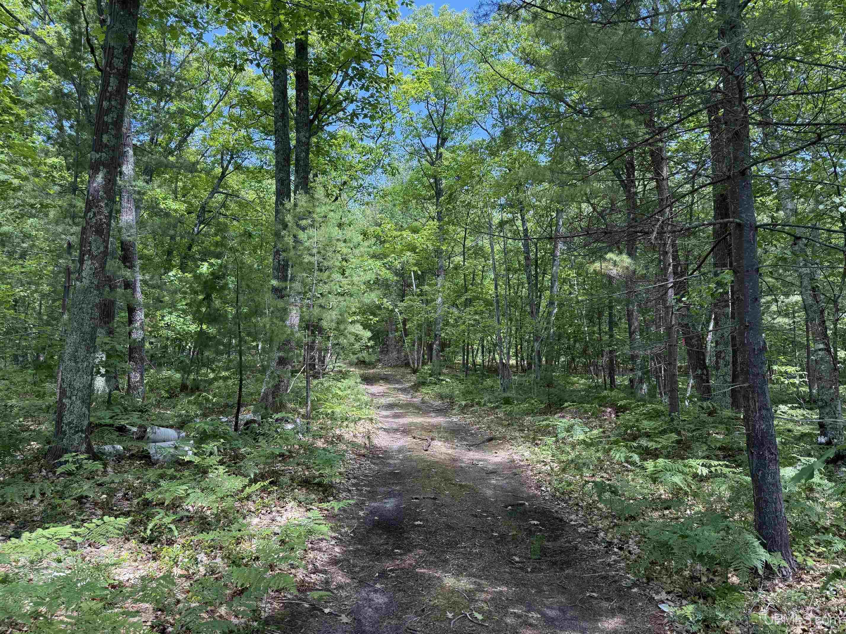 Tbd23 Senter Road Dollar Bay, MI 49922 - Photo 6 of 17