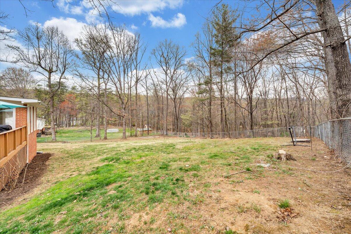 414 Pin Oak Drive Blue Ridge, VA 24064 - Photo 41 of 45 a view of yard with trees