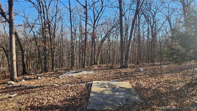 $65,000 | Lot 29 Cove Road, Osage Beach, MO 65065
