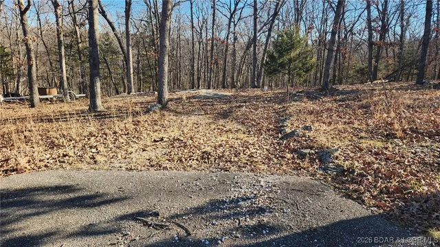 $65,000 | Lot 29 Cove Road, Osage Beach, MO 65065