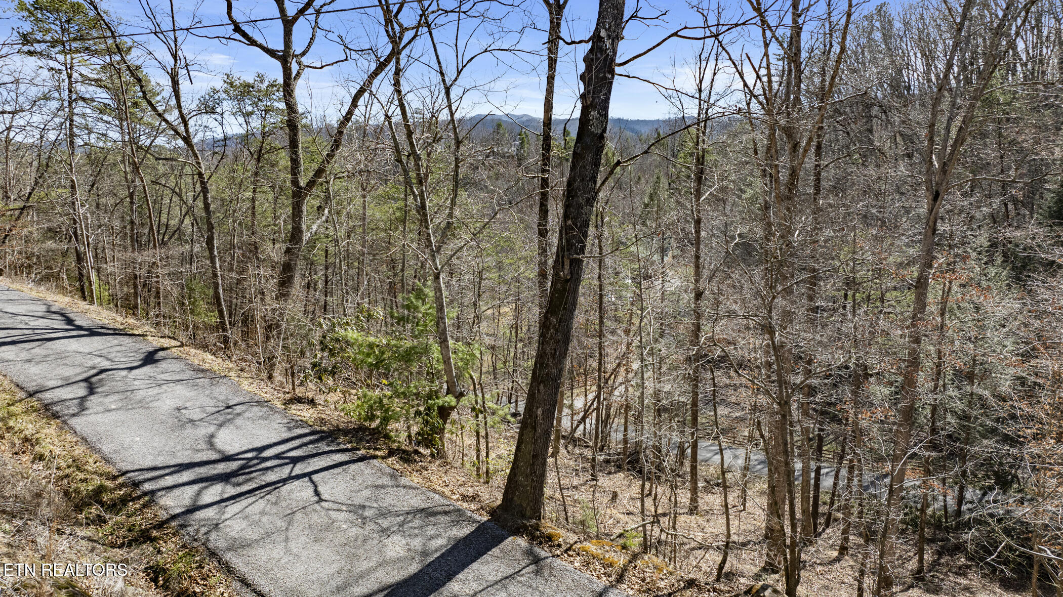 272 Cove Hollow Road Cosby, TN 37722 - Photo 5 of 17 COVE HOLLOW 3