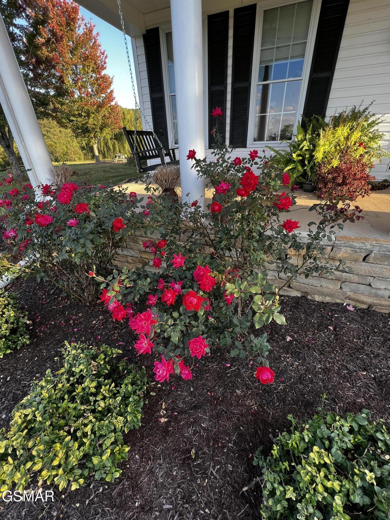 374 Doane Road New Market, TN 37820 - Photo 45 of 83 Gallery Image 45
