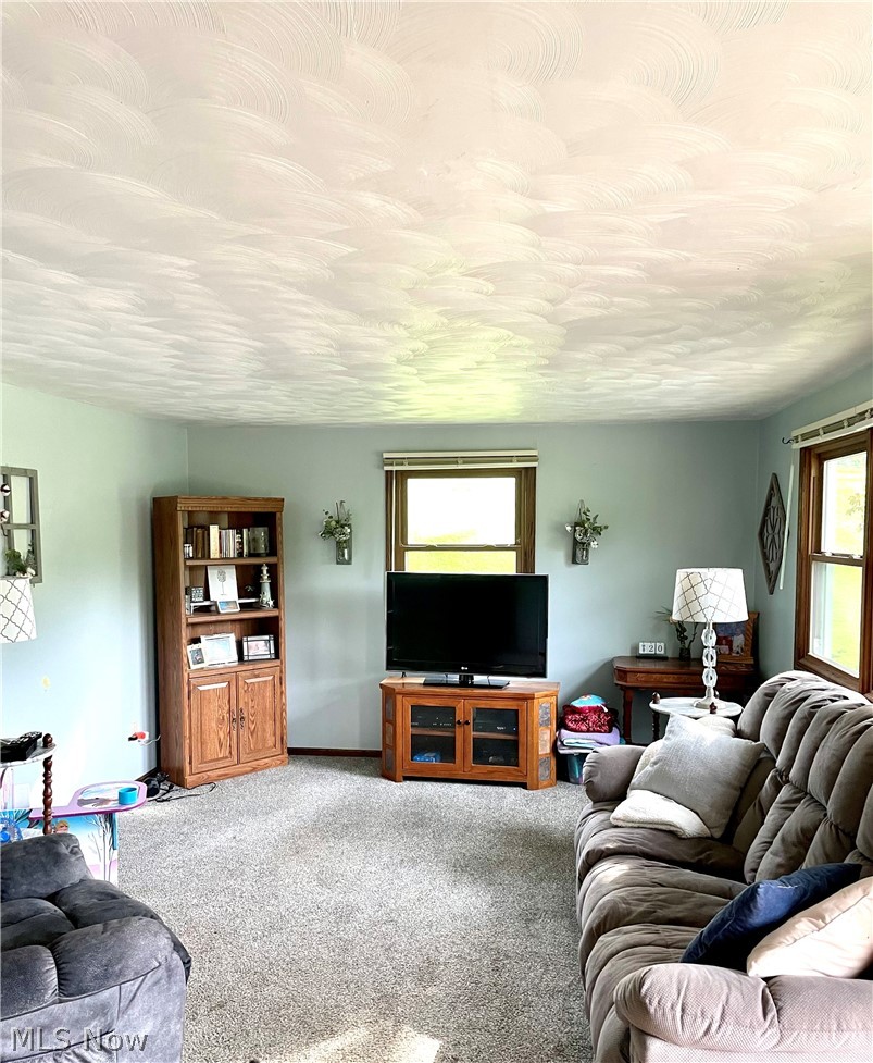 3194 South Columbus Road Wooster, OH 44691 - Photo 6 of 17 Gallery Image 6