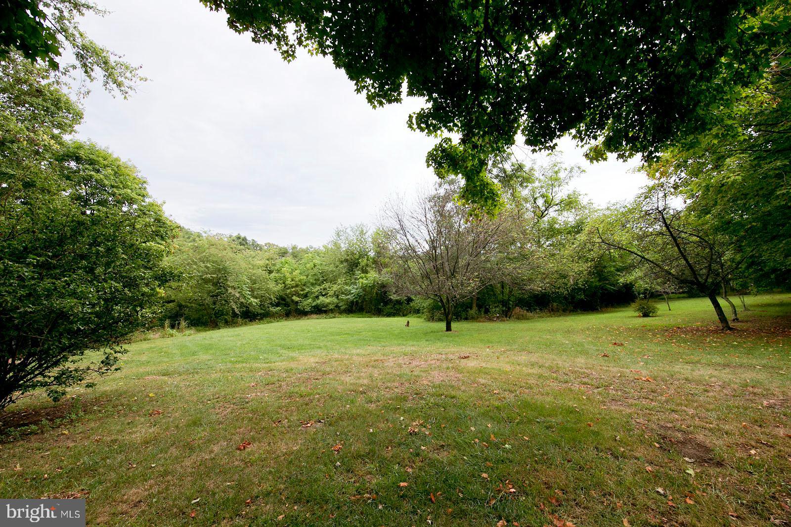 304 Cross Junction Road Cross Junction, VA 22625 - Photo 53 of 61 Over 6 partially open & partially wooded acres