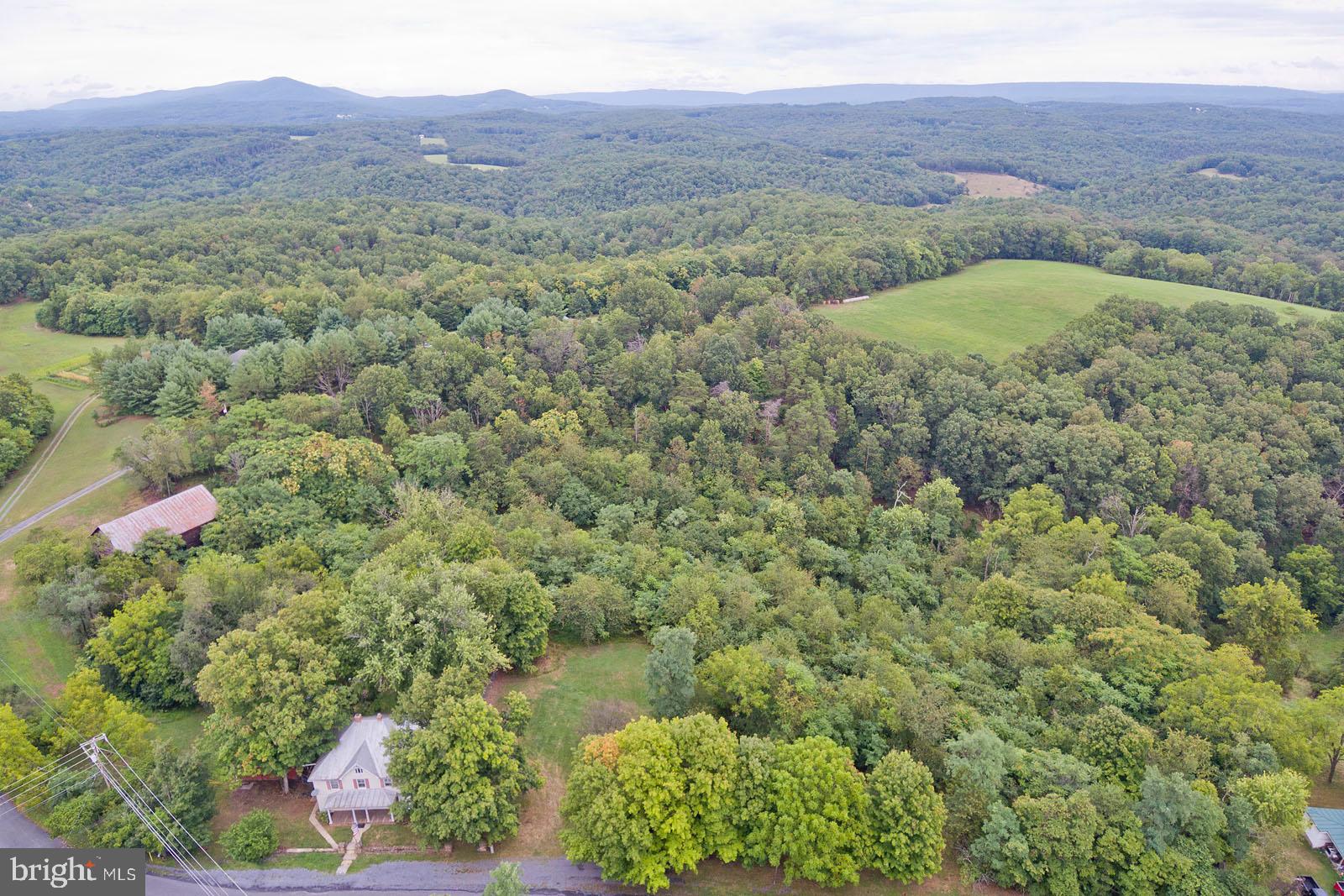 304 Cross Junction Road Cross Junction, VA 22625 - Photo 58 of 61 Gorgeous backdrop for this home