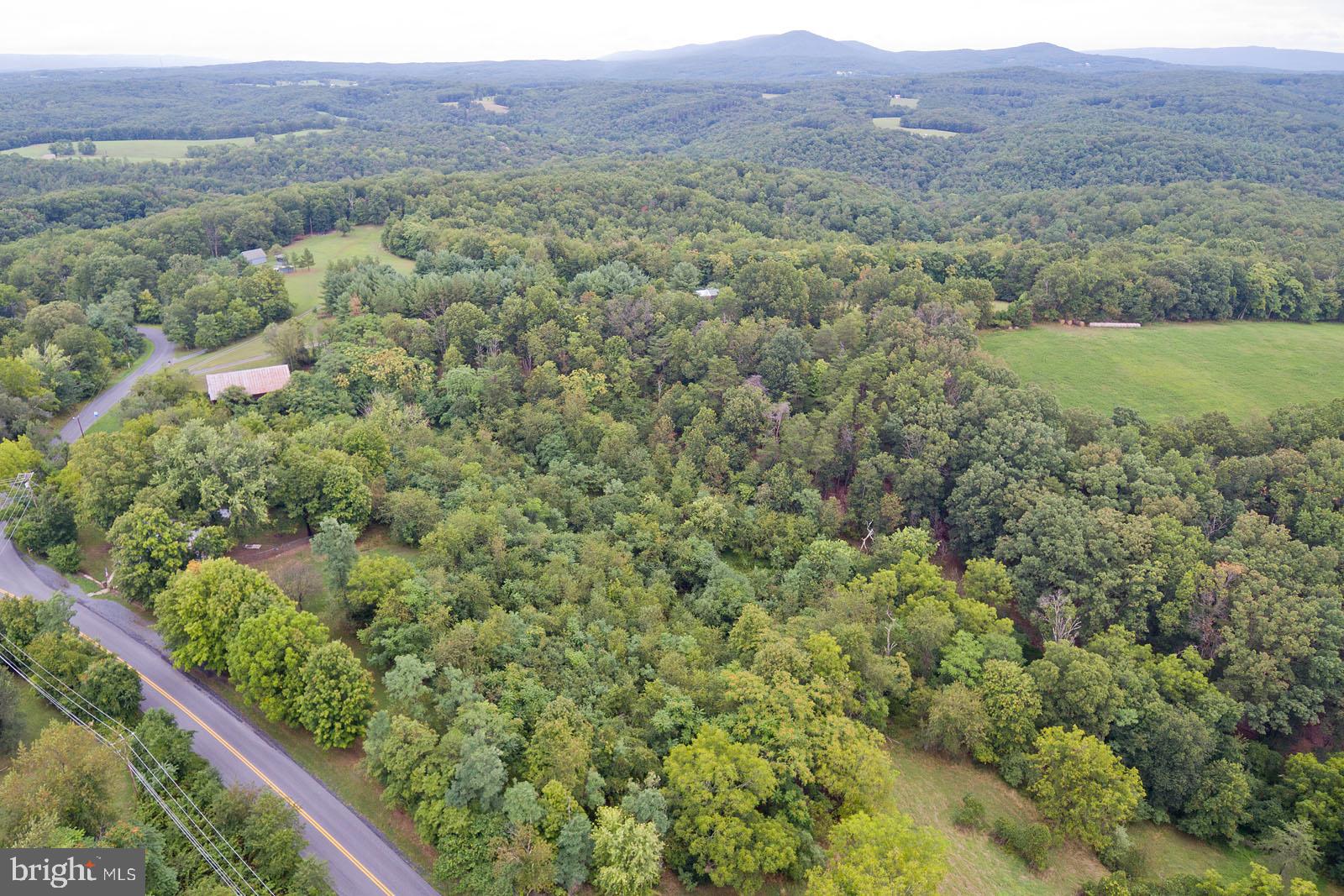 304 Cross Junction Road Cross Junction, VA 22625 - Photo 59 of 61 Views for miles