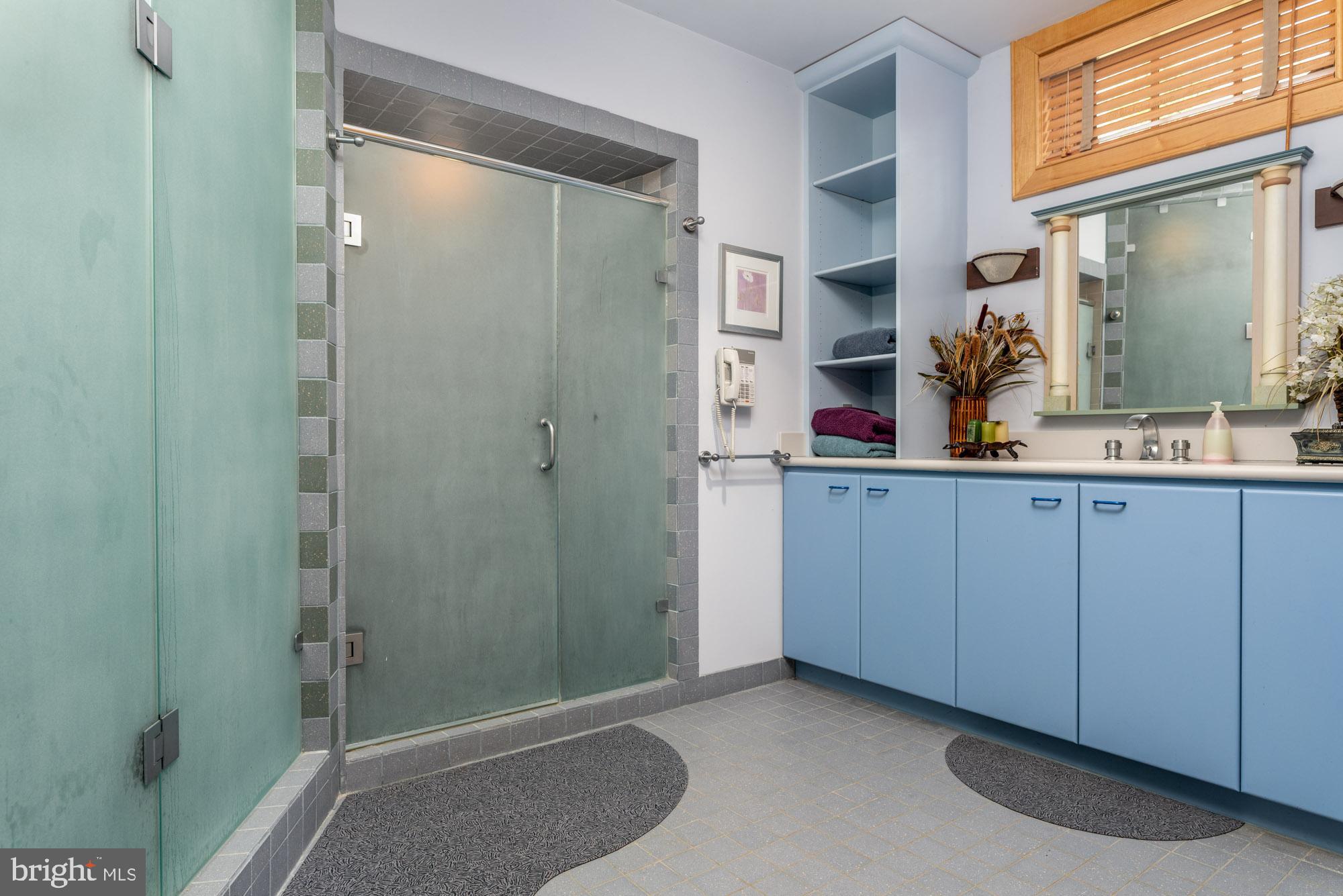 893 Parkes Run Lane Villanova, PA 19085 - Photo 65 of 86 Lower Level Full Bath