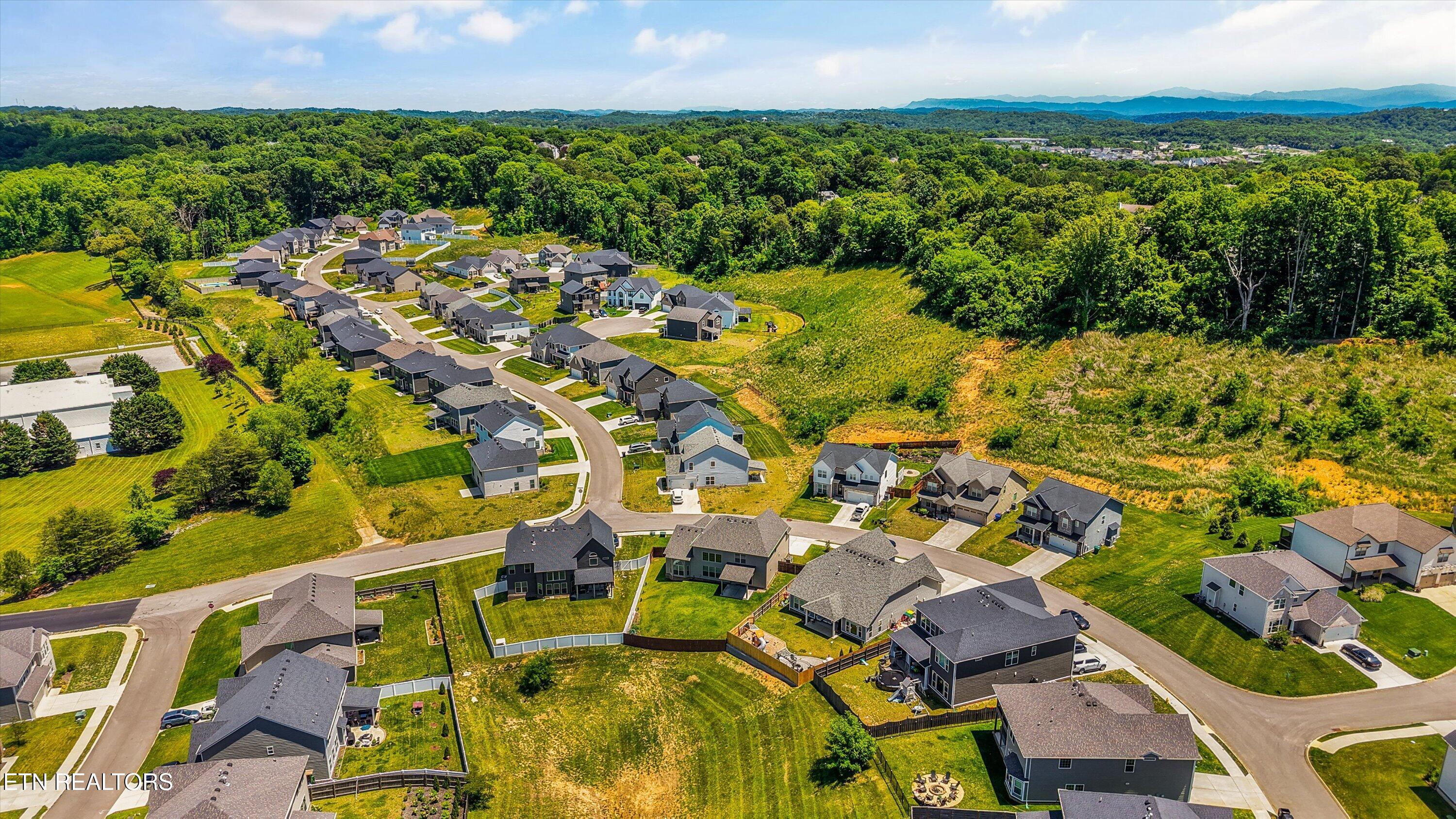 1411 Ridge Climber Road Knoxville, TN 37922 - Photo 46 of 48 41-1411 Ridge Climber Rd40