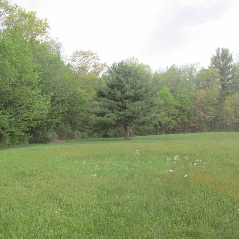 82 Little Turnpike Road Shirley, MA 01464 - Photo 11 of 27 a view of field with trees in background