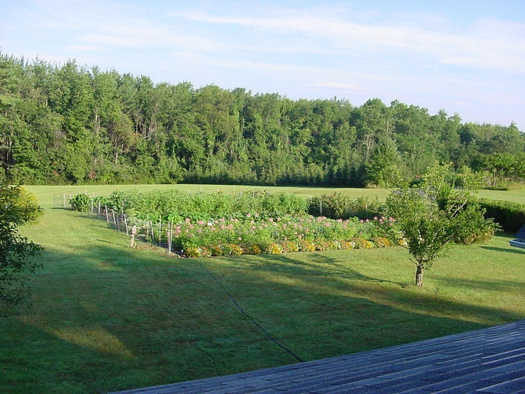 82 Little Turnpike Road Shirley, MA 01464 - Photo 2 of 27 a view of a lush green space