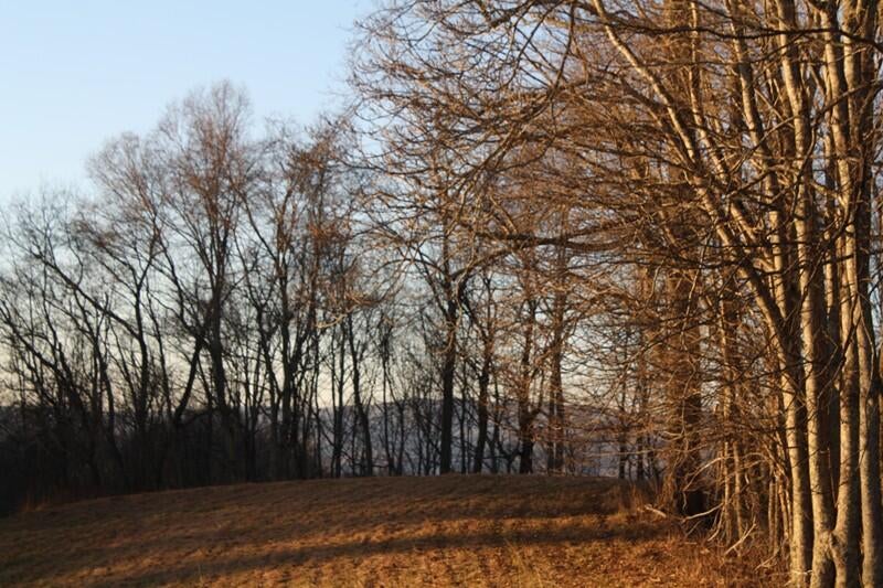 Zion Mountain Road Hinton, WV 25951 - Photo 20 of 73 Gallery Image 20