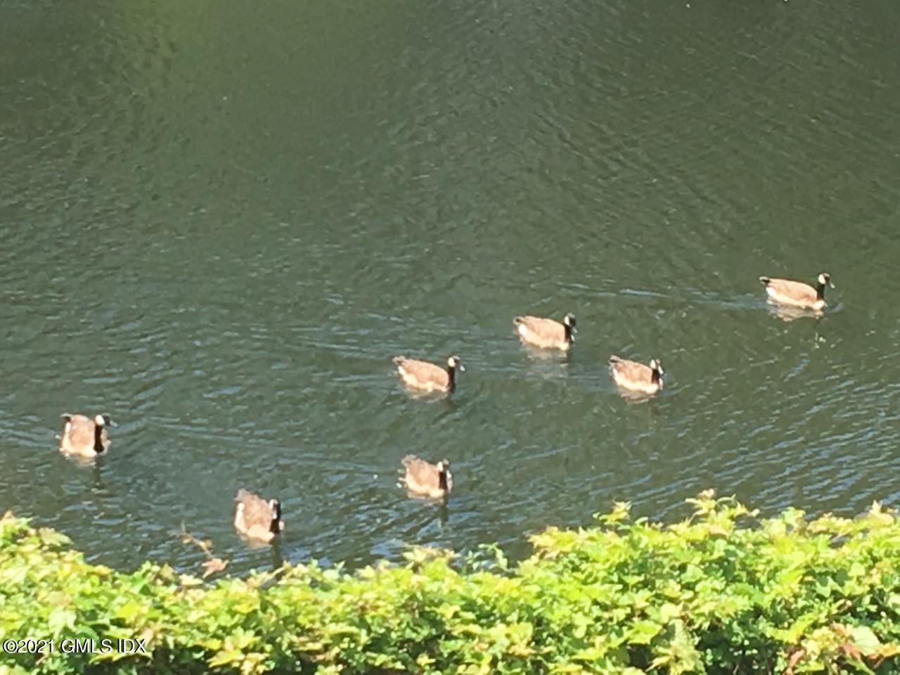 68 Byram Road, Unit 2 Greenwich, CT 06830 - Photo 19 of 20 a view of a lake