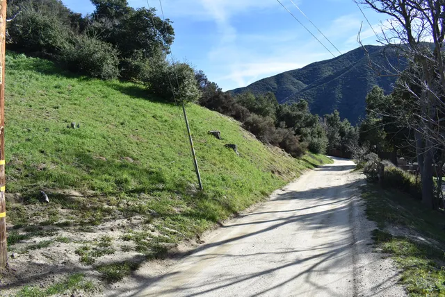 $30,000 | 16127 Calle El Capitan Green Valley, Santa Clarita, CA 91390