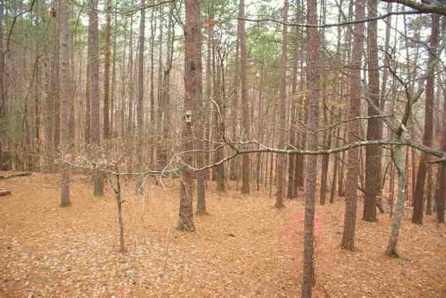 9 Channel Lane Salem, SC 29676 - Photo 8 of 8