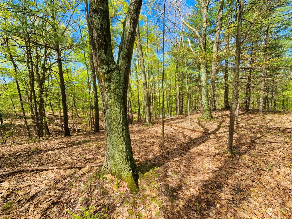 613 East Lake Road Penn Yan, NY 14527 - Photo 18 of 35